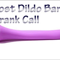 Picture for song 'Lost Dildo (Bar Prank)' by artist 'JoshPranks'