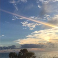 Picture for song 'Sunset dr' by artist 'lilxshogun'