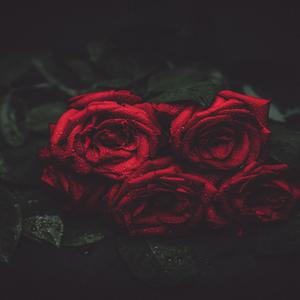 Picture for song 'Fetty Dolar' by artist 'MurcciBeatz'