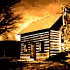 Picture for song 'House In The Woods' by artist 'Pear Tree White'