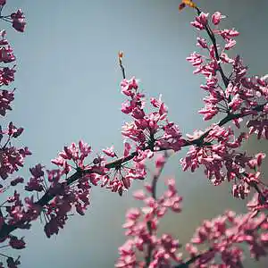 Picture for song 'Good Things' by artist 'P.R Beats'