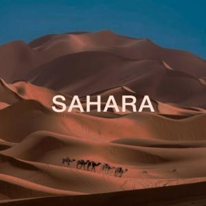 Picture for song 'Sahara (Melodic Guitar)' by artist 'Puls Ever'