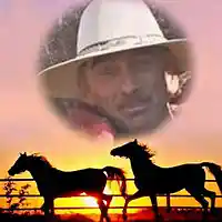 Picture for song 'What im feeling for you' by artist 'Rocky Del Arnold'