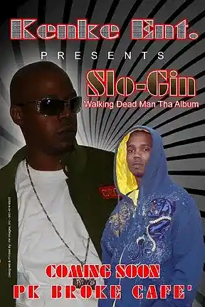 Picture for song 'Block Boy Instrumental' by artist 'Slo Gin'