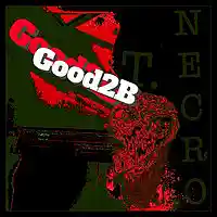 Picture for song 'Good2B' by artist 'Turtle Necromancer'