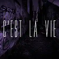 Picture for song 'Cest la Vie (SOLD)' by artist 'Woodtunez Beats'