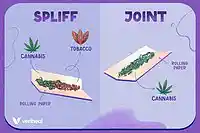 Picture for song 'Spliff' by artist 'Young-EL-Sombra'