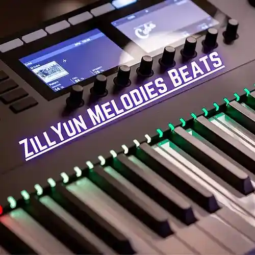Picture for song 'pop sensation' by artist 'ZillYun Melodies Beats'