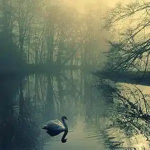 Picture for song '16 Miles Away (Lil Peep)' by artist 'Bonnie Beats'