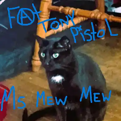 Picture for song 'Ms Mew Mew' by artist 'Fat Tony Pistol'