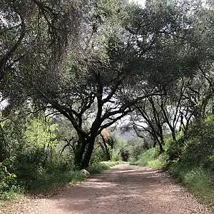 Picture for song 'Landscaper Luis has an Allergy Problem' by artist 'Gagmesharkoff'