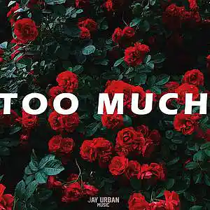 Picture for song 'Too Much (Doja Cat x R&B Type Beat)' by artist 'JayUrbanMusic'