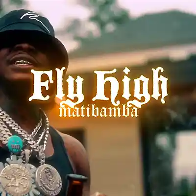 Picture for song 'Fly High - Dancehall Type Beat' by artist 'matibamba'