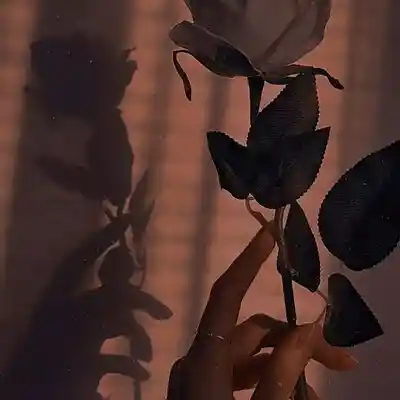 Picture for song '[FREE] Type Beat Juice WRLD Sad "Bandit"' by artist 'Prod.LunaBeats'