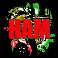 Picture for song 'Ham' by artist 'Turtle Necromancer'