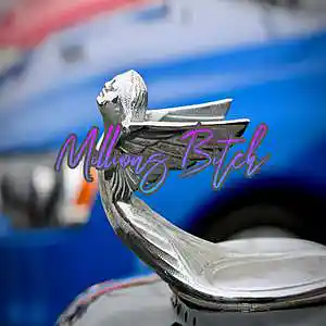 Picture for song 'Millions Bitch' by artist 'Anac On The Beat'