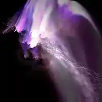 Picture for song '7.maybe' by artist 'BGN'