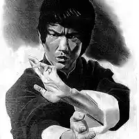 Picture for song 'Bruce Lee ' by artist 'BlackXipher'