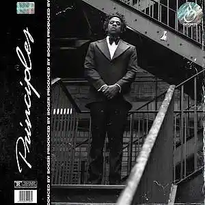 Picture for song 'Principles (Jay Z Type Beat)' by artist 'BOGER'