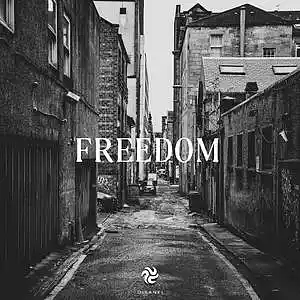 Picture for song 'OPPRESSION' by artist 'DISANEL'