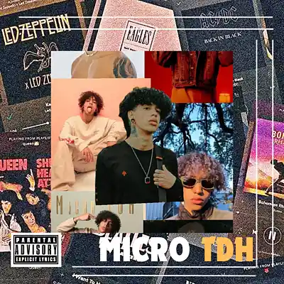 Picture for song 'Micro TDH Type Beat Acoustic / R&B / Instrumental ' by artist 'EDBEATS1'