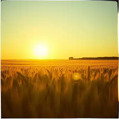 Picture for song 'The Lord of the Harvest (The Guys)' by artist 'firesong'