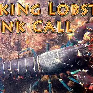 Picture for song 'Talking Lobster' by artist 'JoshPranks'