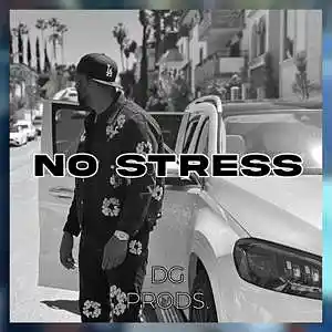Picture for song 'AFRO - No Stress' by artist 'ProdByDGProductions'