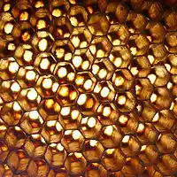 Picture for song '*NEW* Honeycomb' by artist 'PURPS BEATS'
