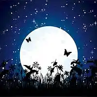 Picture for song 'MOON SHINE ' by artist 'tamsnumber4'
