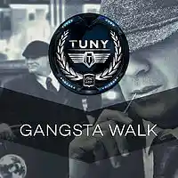 Picture for song 'Gangsta Walk' by artist 'Tuny Beats'