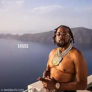 Picture for song 'Bands (Buy 1 Get 1-3 FREE)' by artist 'V-Sine Beatz'