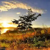 Picture for song 'KE - Sundown' by artist 'Ziggophon'
