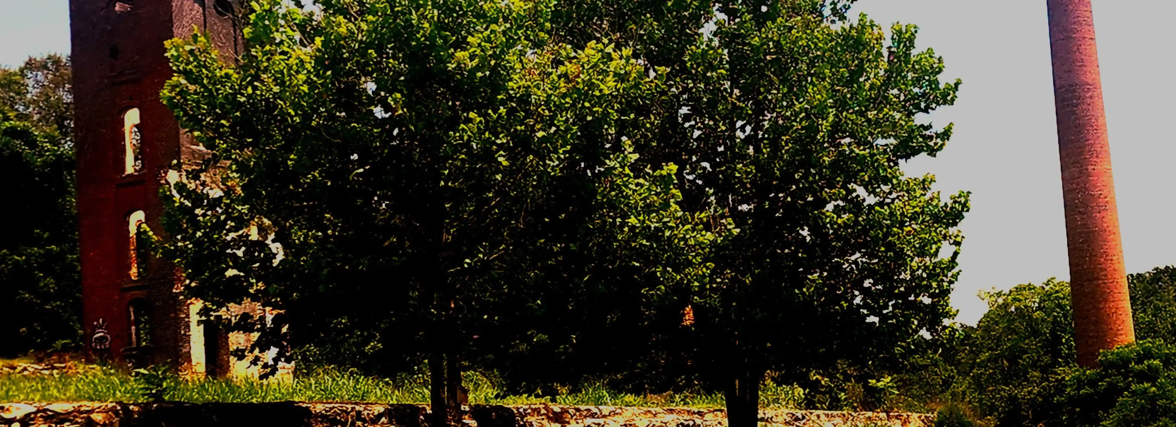 cover pic