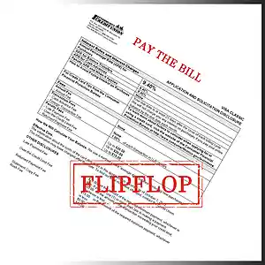 Picture for song 'Pay the bill' by artist 'flipflop'