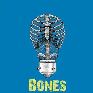 Picture for song 'Bones' by artist 'garagan'