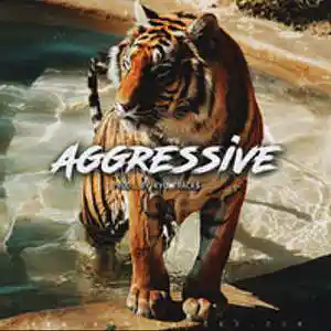 Picture for song 'AGGRESSIVE' by artist 'Kyu Tracks'