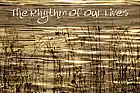 Picture for song 'The rhythm' by artist 'Marco Dinero (US)'