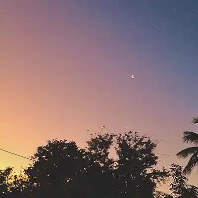 Picture for song 'sky' by artist 'paidhotspot'