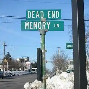 Picture for song 'Memory Lame' by artist 'Revel Sounds'