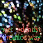 Picture for song 'The Nice Way Pt2' by artist 'Wet Dentist'