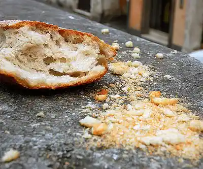 Picture for song 'SA! from Breadcrumbs' by artist 'Zirconium Mechanism'