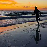 Picture for song '03 Run To The Lord' by artist 'Beverley Tang'