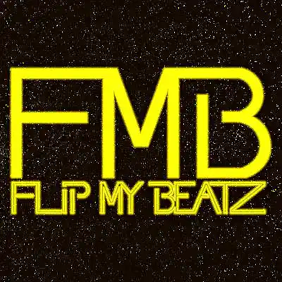 Picture for song 'INFILTRATORS' by artist 'FLIP MY BEATZ'
