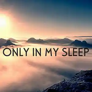 Picture for song 'Only In My Sleep (Stolen Echoes)' by artist 'King David Production'
