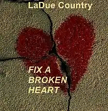 Picture for song 'FIX A BROKEN HEART' by artist 'LaDue Country'