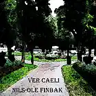 Picture for song 'Virinis Mundi' by artist 'Nils-Ole Finbak'