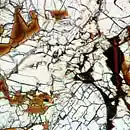 Picture for song 'Martian Rust' by artist 'Phanta Sci'