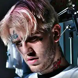 Picture for song 'Savage Lil Peep Type Beat, Sad type beat' by artist 'SNAKES GROUP'
