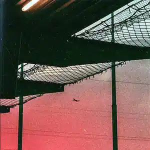 Picture for song 'Live (prod. Vichle)' by artist 'Vichle'